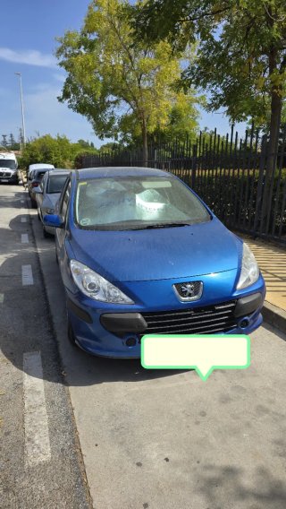 Peugeot 307 2009