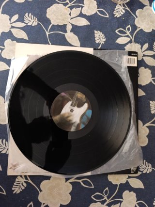 Vinilo La Guardia Al Otro Lado