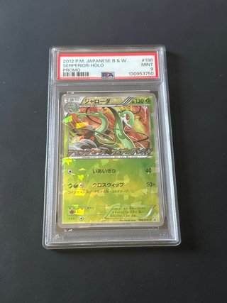 Serperior Holo 198/BW-P PSA 9