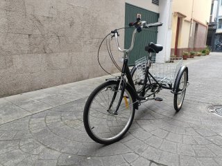 Bicicletta a tre ruote con cestino