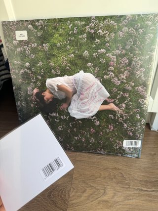 Olivia Rodrigo vinilo firmado you seem pretty sad