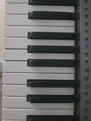 Teclado Yamaha PSR-E353