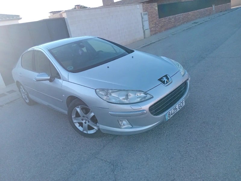 Peugeot 407 2009 - foto 1