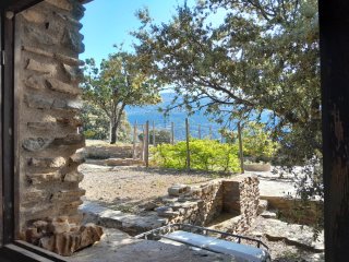 Cortijo