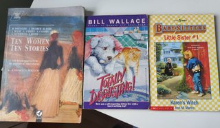 Lote libros inglés
