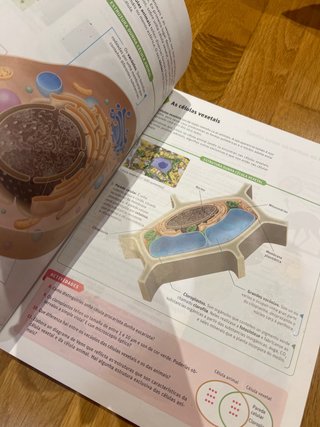 Bioloxía e xeoloxía, 1 ESO