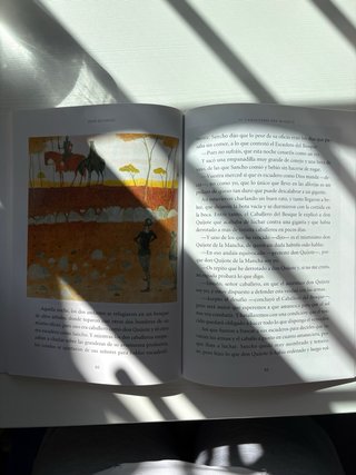 Libro Don Quijote