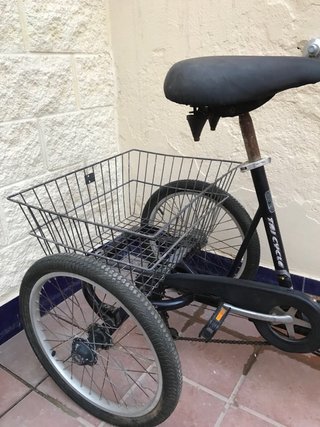 Triciclo Monty con cesta