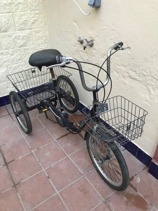Triciclo Monty con cesta