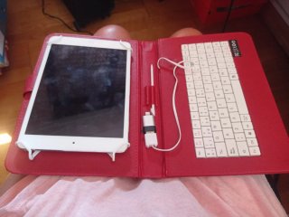 Apple iPad A1489 Plata