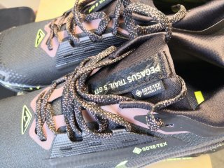 Scarpe Nike Pegasus Trail 5 Gore-Tex