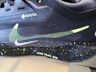 Scarpe Nike Pegasus Trail 5 Gore-Tex