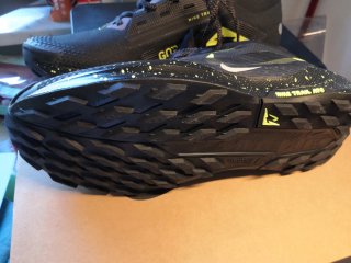 Scarpe Nike Pegasus Trail 5 Gore-Tex
