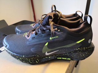 Scarpe Nike Pegasus Trail 5 Gore-Tex