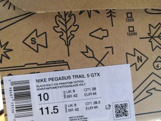 Scarpe Nike Pegasus Trail 5 Gore-Tex
