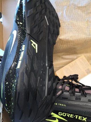 Scarpe Nike Pegasus Trail 5 Gore-Tex