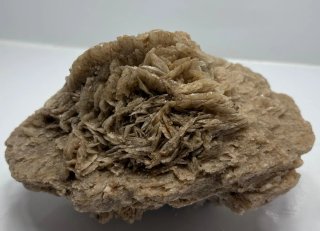 Piedra Rosa del Desierto