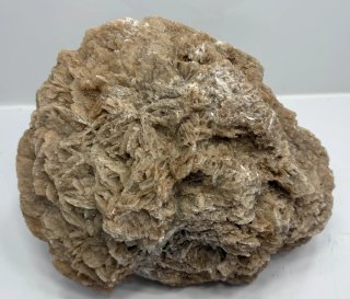 Piedra Rosa del Desierto