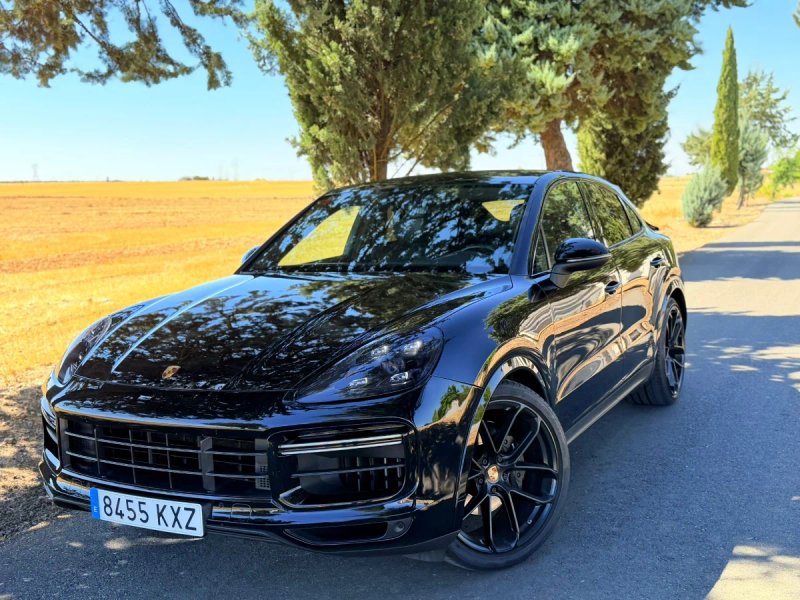 Porsche Cayenne 2019, foto 3