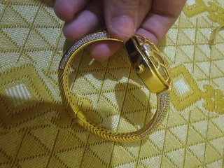 Reloj Serpenti Acero Inoxidable