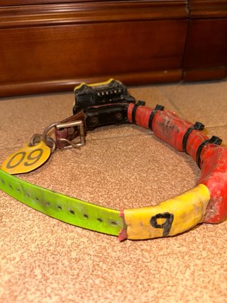 Pack Collares GPS BS Planet
