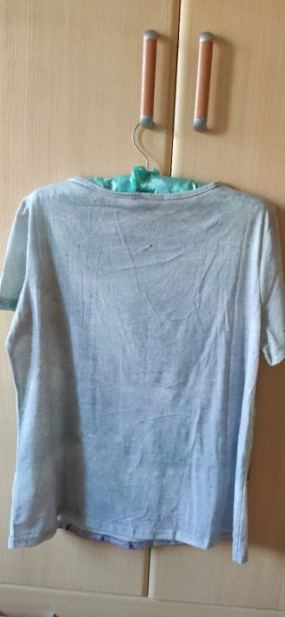 Camiseta con estampado de rosas y libélula