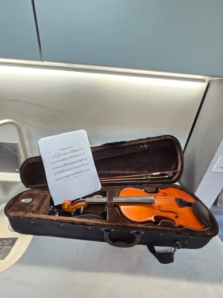 Violín con funda y arco