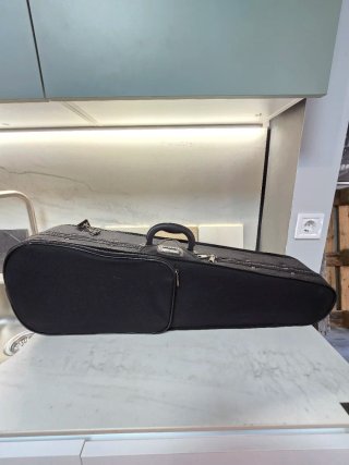 Violín con funda y arco