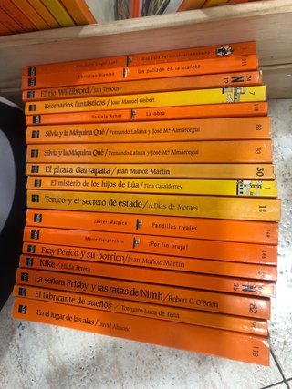 Lote libros Barco de Vapor (+8 años)