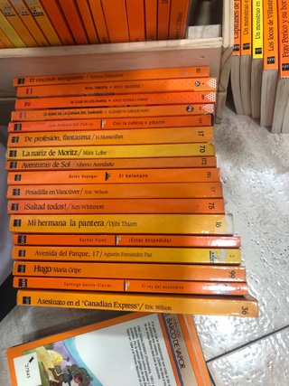 Lote libros Barco de Vapor (+8 años)