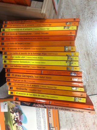 Lote libros Barco de Vapor (+8 años)