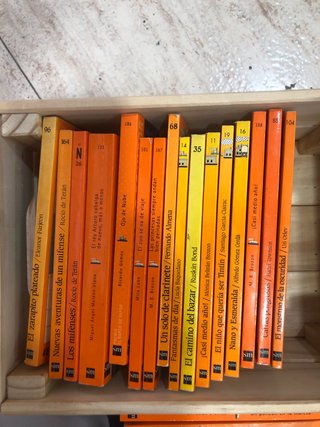 Lote libros Barco de Vapor (+8 años)