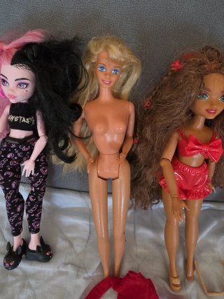 Lote de 4 muñecas Barbie y accesorios