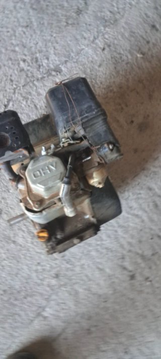 Motor de gasolina
