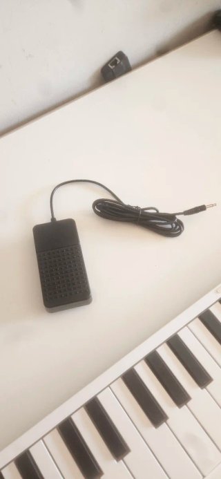 Piano Plegable 88 Teclas
