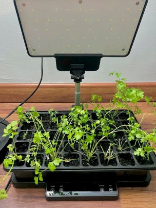 LetPot Invernadero Inteligente Cultivo Interior