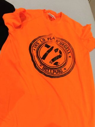 Sudadera y Camiseta Ins Lo Pla d Urgell