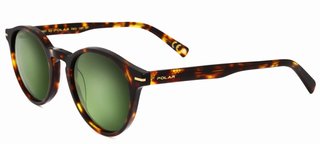 Gafas Sol Polar Gold