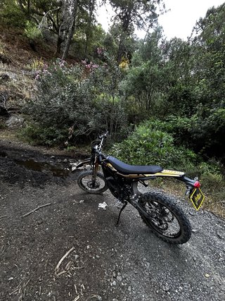 Surron Ultra Bee 2025 - 120km