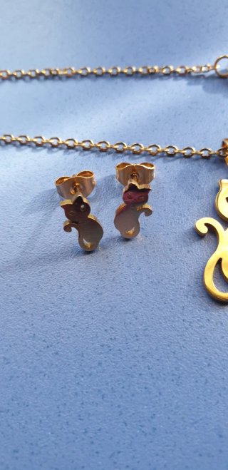 ACERO DORADO GATO CONJUNTO