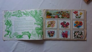 Lote Álbumes Vida y Color 1 y 2