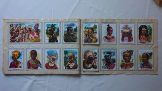 Lote Álbumes Vida y Color 1 y 2