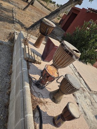 Lote instrumentos percusión africana
