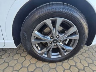 Ford Kuga ST-Line 1.5 EcoBlue 88 kW (120 CV)
