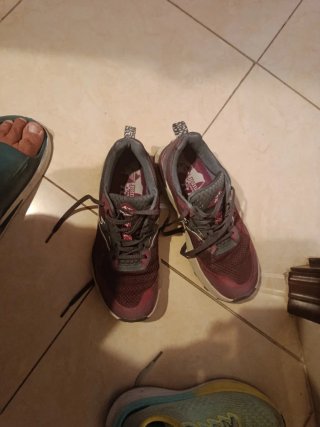 Zapatos Joma Talla 38 Unisex