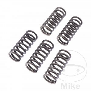 Kit 5 Muelles Embrague Moto