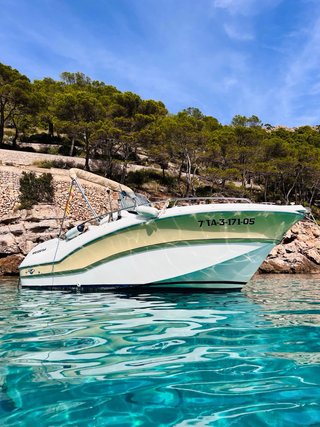 Barco Río 550 Sol Honda 90 CV + remolque