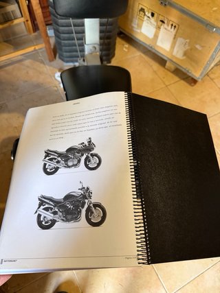 Manual Suzuki GSF600/S Servicio Moto