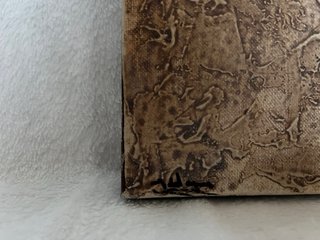 Cuadro decorativo flor tulipán beige, precio a con