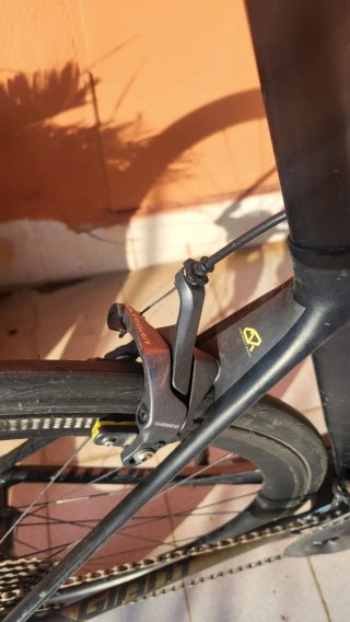 Giant TCR